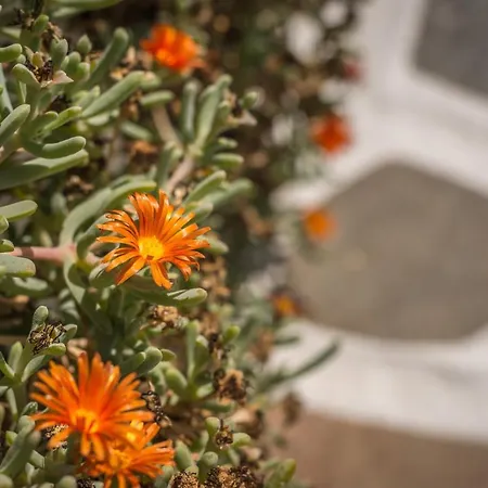 Thalassitra Village Adamantas (Milos)