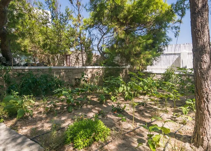 فندق Thalassitra Village آداماس