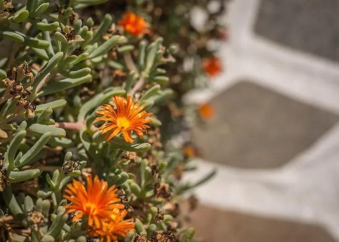 Thalassitra Village アダマス